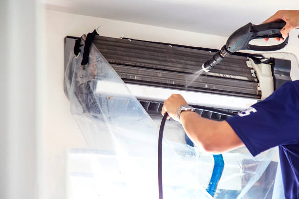 Air Duct Mold Removal in Park View, IA